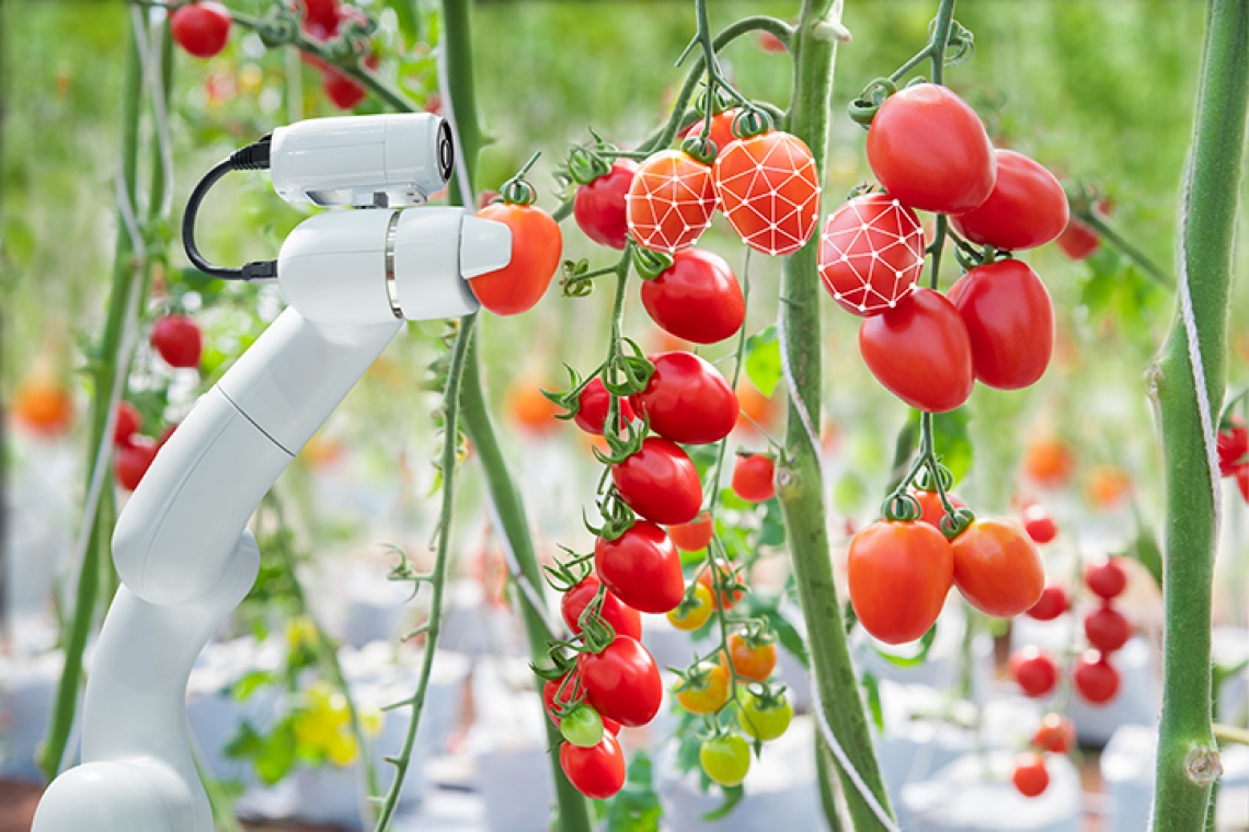 Top 14 agricultural robots for harvesting and nursery