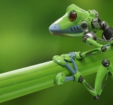 Team builds first living robots using frog stem cells